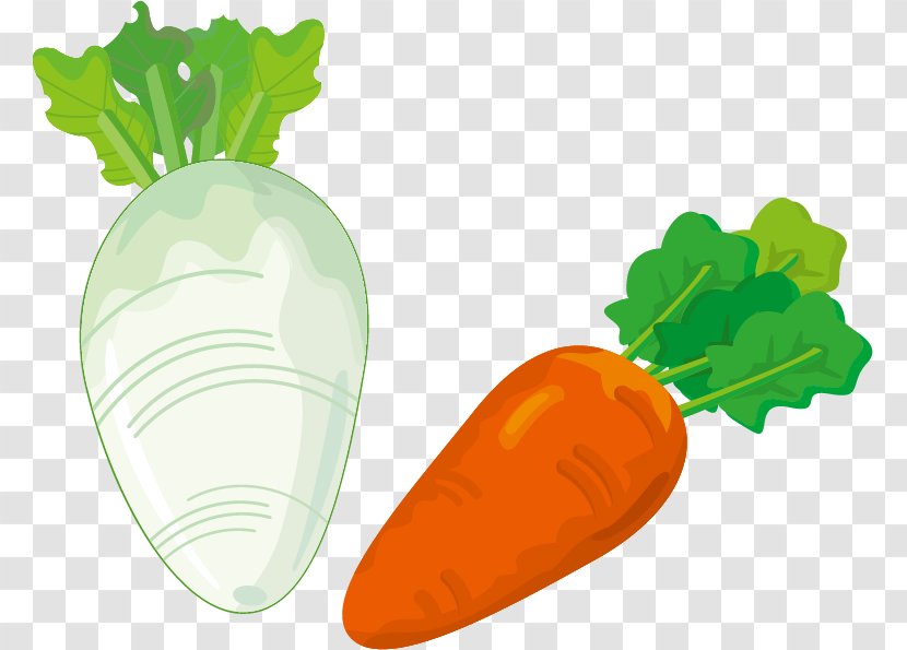 Ukha Fish Soup Carrot Clip Art - Leaf Vegetable - White Radish Vector Material Transparent PNG