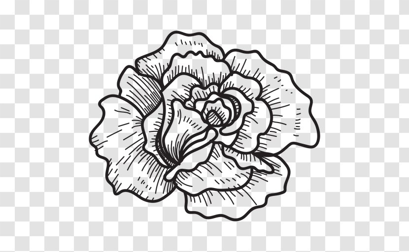 Floral Design Drawing - Black And White Transparent PNG