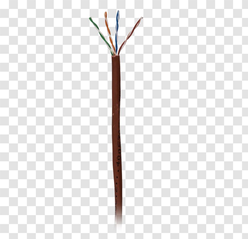 Line - Twig - Category 5 Cable Transparent PNG