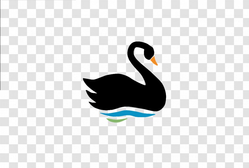 The Black Swan: Impact Of Highly Improbable Duck Bird Swan Theory Transparent PNG