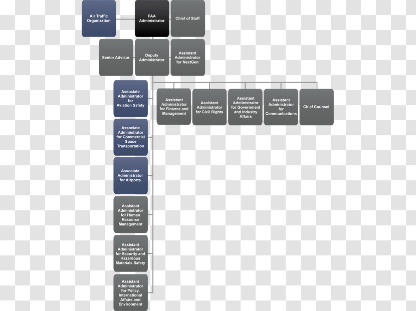 Organizational Chart Federal Aviation Administration Structure - Business Transparent PNG