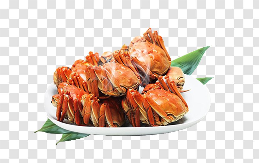 Crab Seafood Hot Pot Poster Fishing Industry - Southeast Asian Food - Hairy Crabs Transparent PNG