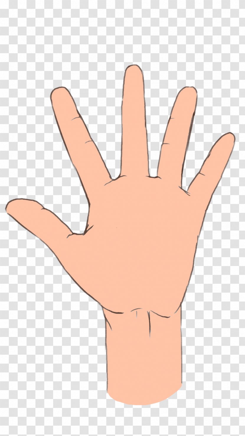 Palmistry Hand Image Ring Finger Middle - Digit Transparent PNG