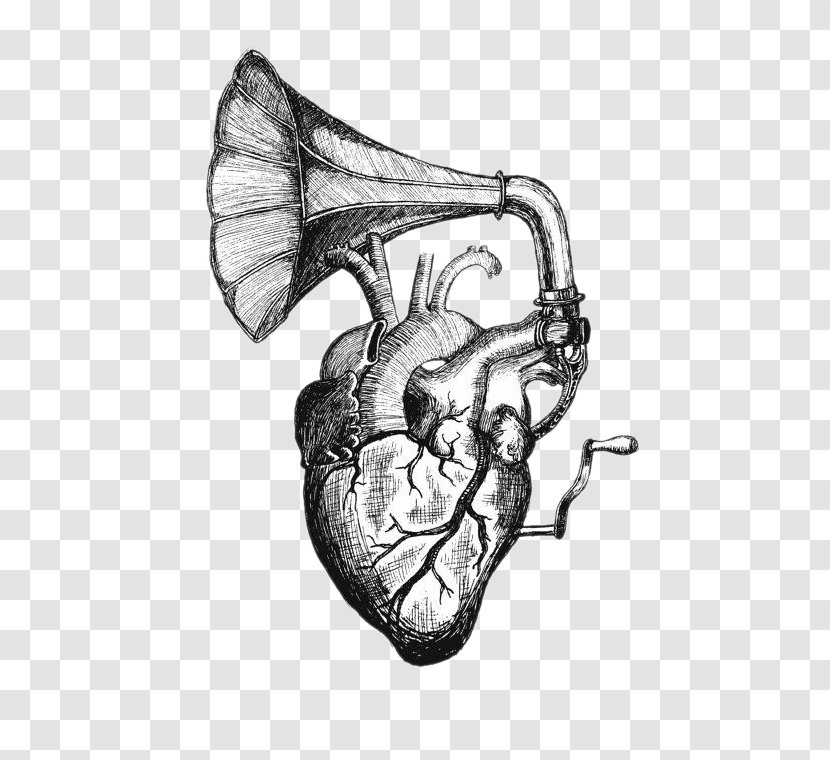 Heart Sounds Drawing Tattoo Anatomy - Flower - Speaker Transparent PNG
