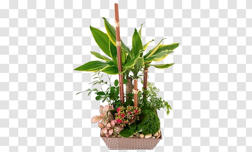 Flower Green Succulent Plant Composition Florale - Cut Flowers Transparent PNG