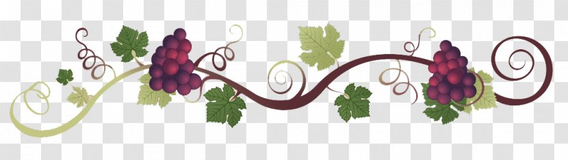 Italian Cuisine Common Grape Vine Wine Clip Art - Plant - Fresh Grapes Transparent PNG