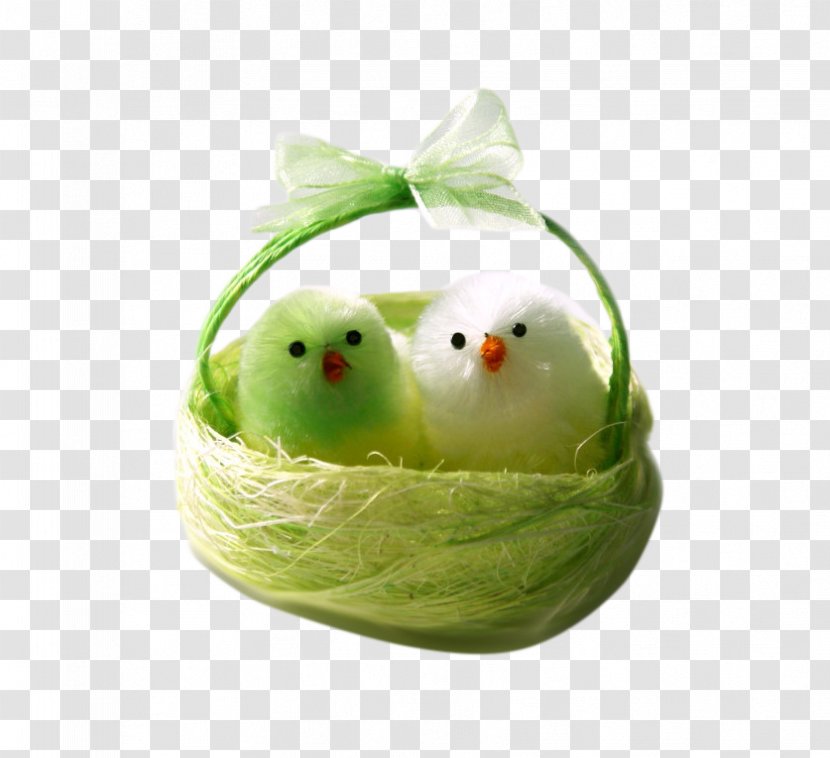 Easter Download - Royaltyfree - Creative Basket Chick Transparent PNG