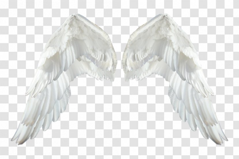 DeviantArt Neck Download - Feather - White Angel Wings Transparent PNG