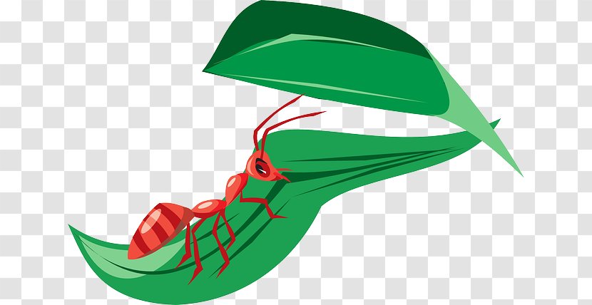 Student Download Ant Clip Art - Shoe - Green Transparent PNG