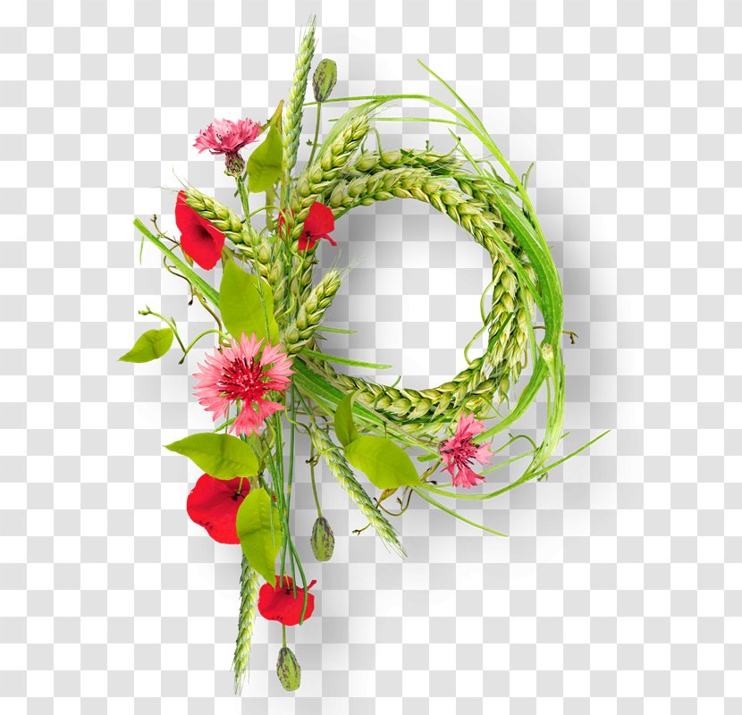Photography Clip Art - Cut Flowers - Flower Transparent PNG