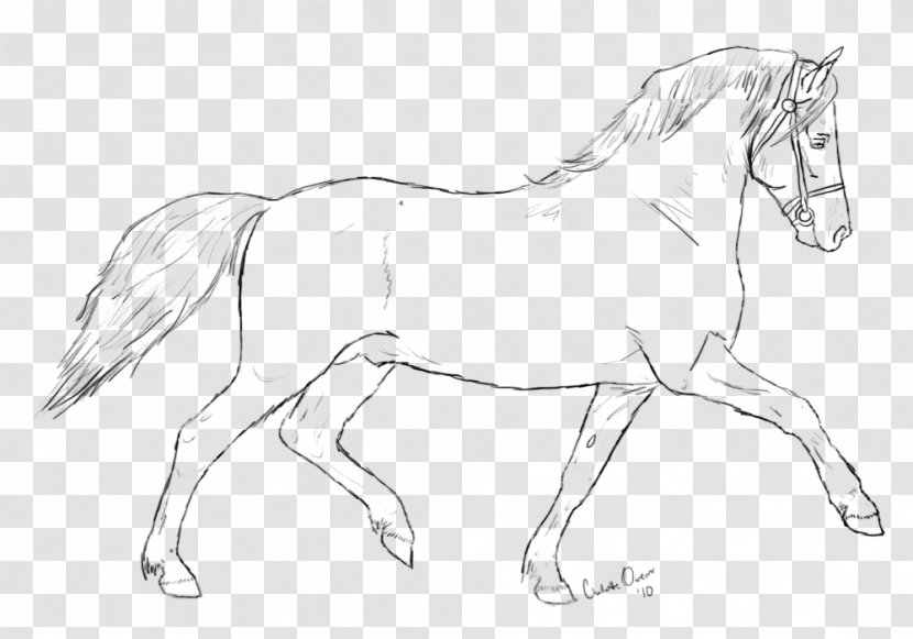 Bridle Mane Mustang Stallion Colt - Tail Transparent PNG