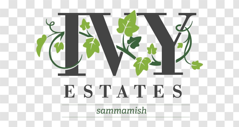 Logo Brand Font - Green - Ivy League Transparent PNG