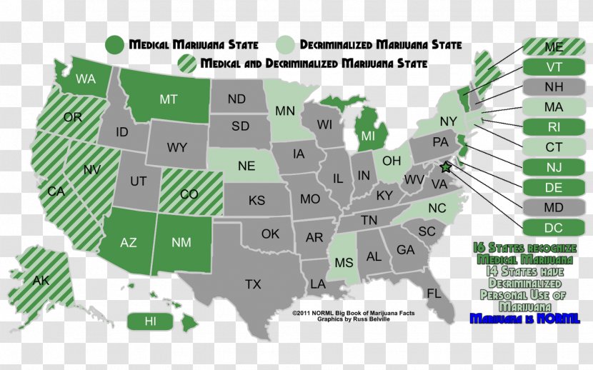 United States Medical Cannabis Legality Of Medicine - Diagram Transparent PNG