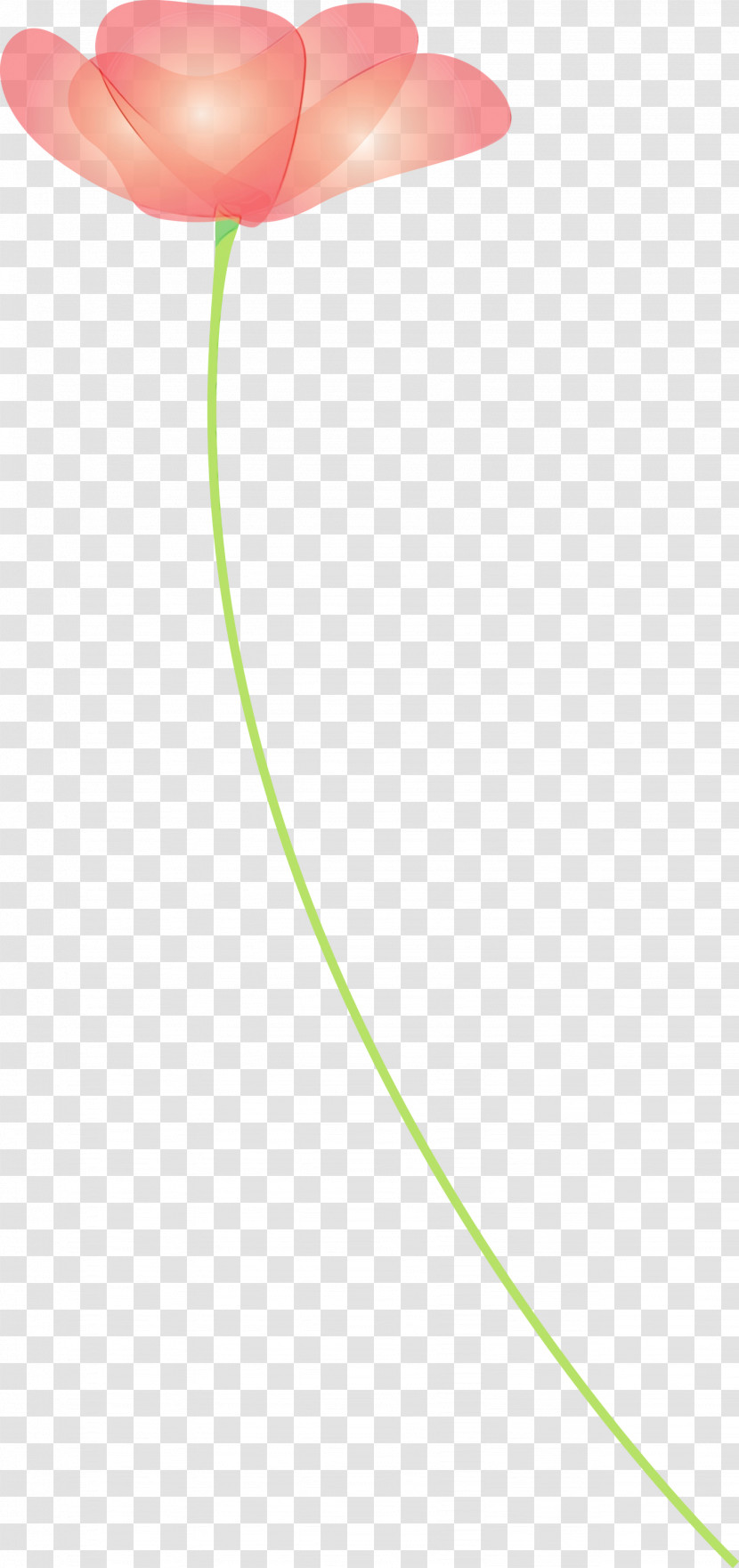 Green Line Circle Transparent PNG