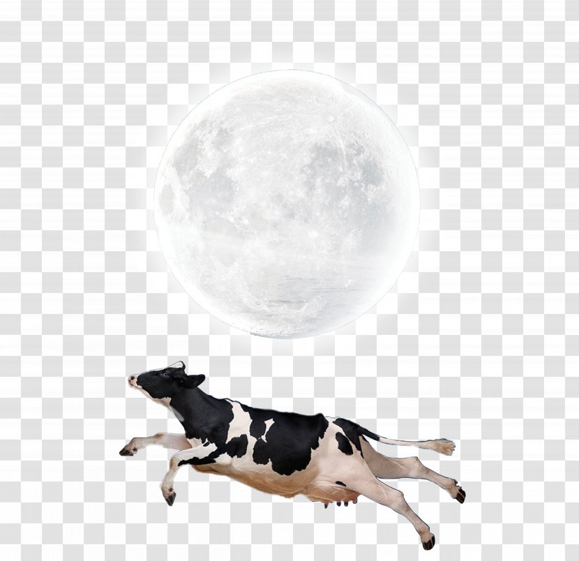 Moon Lunar Phase Wallpaper - Flying Cow Creative Transparent PNG