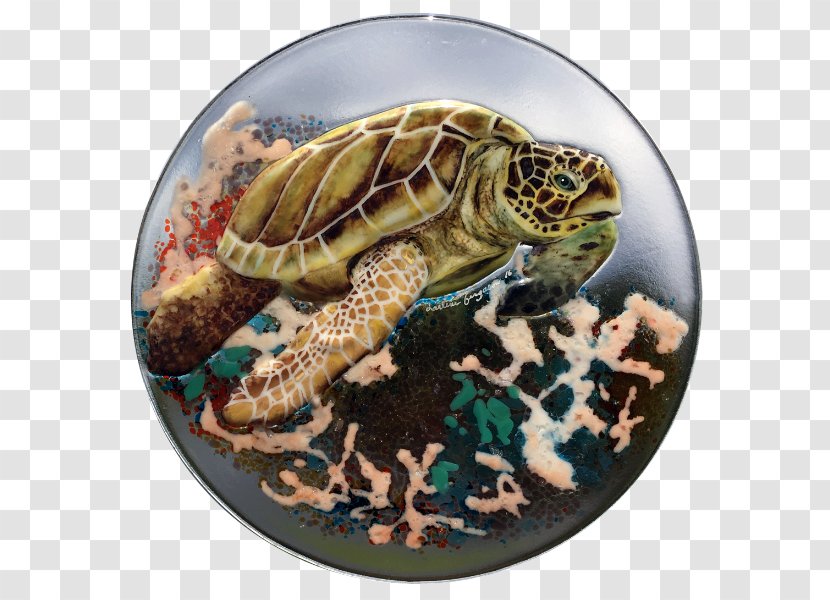 Box Turtles Tortoise Sea Turtle - Coral Transparent PNG