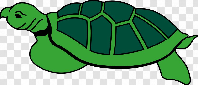 Turtle Reptile Clip Art - Stock Photography - Drawing Transparent PNG