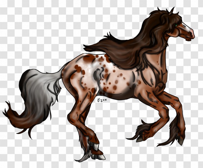 Mustang Foal Stallion Colt Mare - Horse Transparent PNG