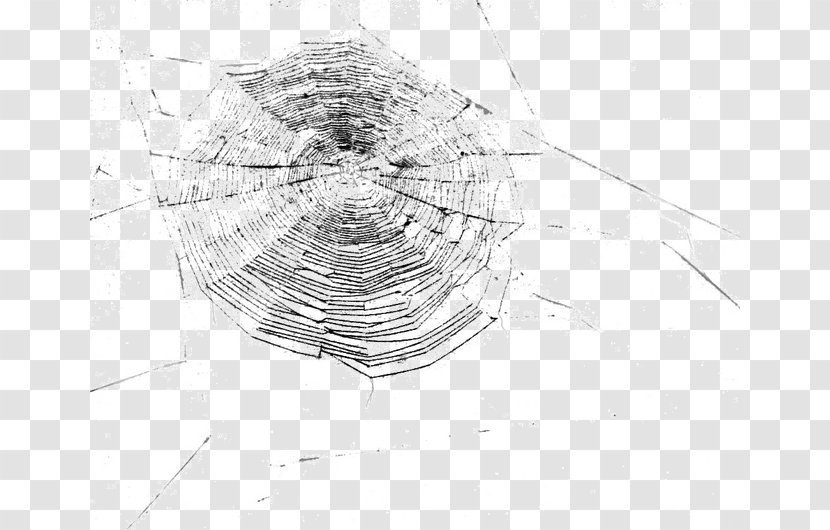 Spider Web Light Photography Pattern - Panoramic - Black And White Transparent PNG