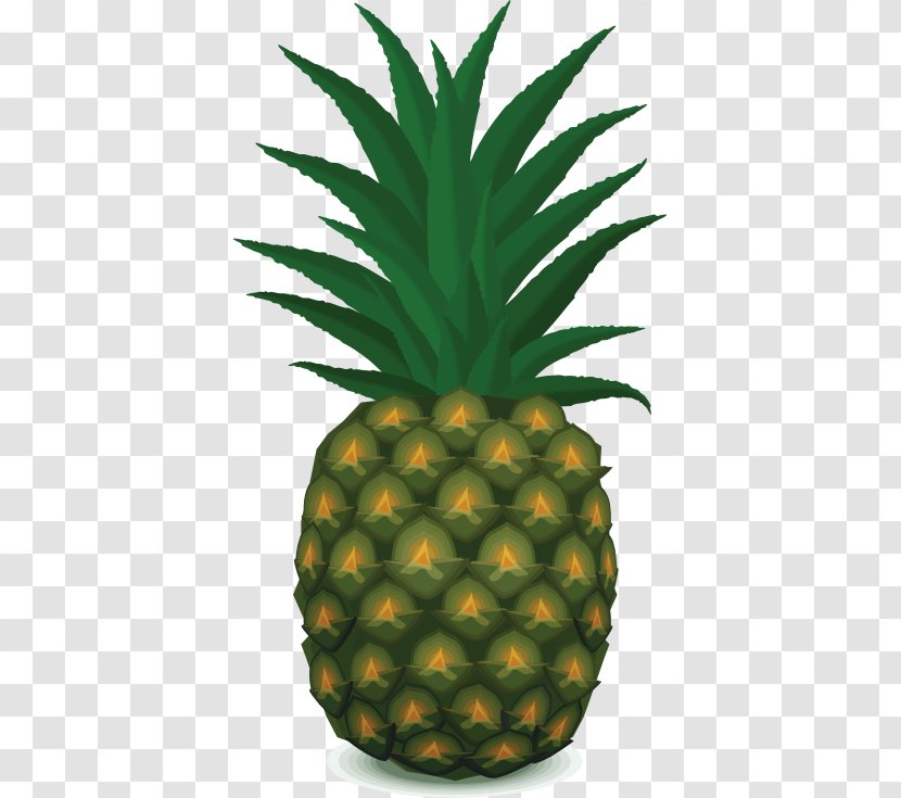 Clip Art Pineapple Vector Graphics Image - Ananas Comosus - Drawing Transparent PNG