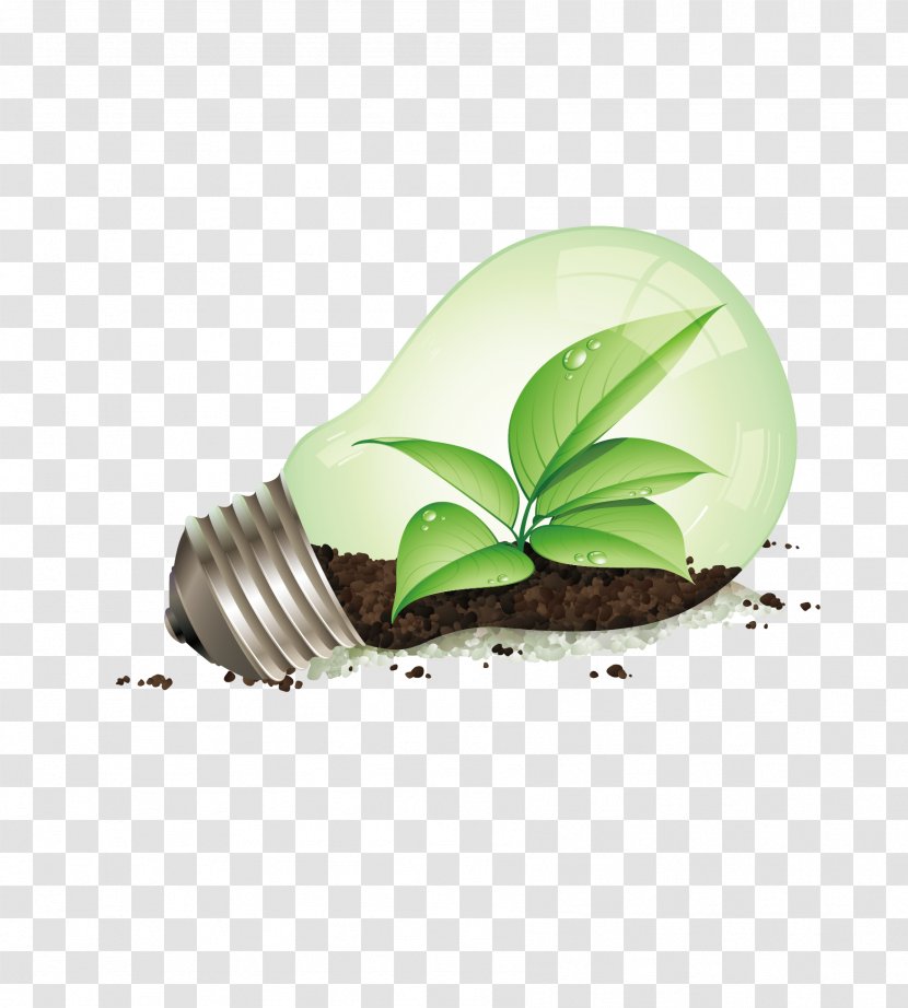 Incandescent Light Bulb Energy Conservation Efficient Use Saving Lamp - Vector Transparent PNG