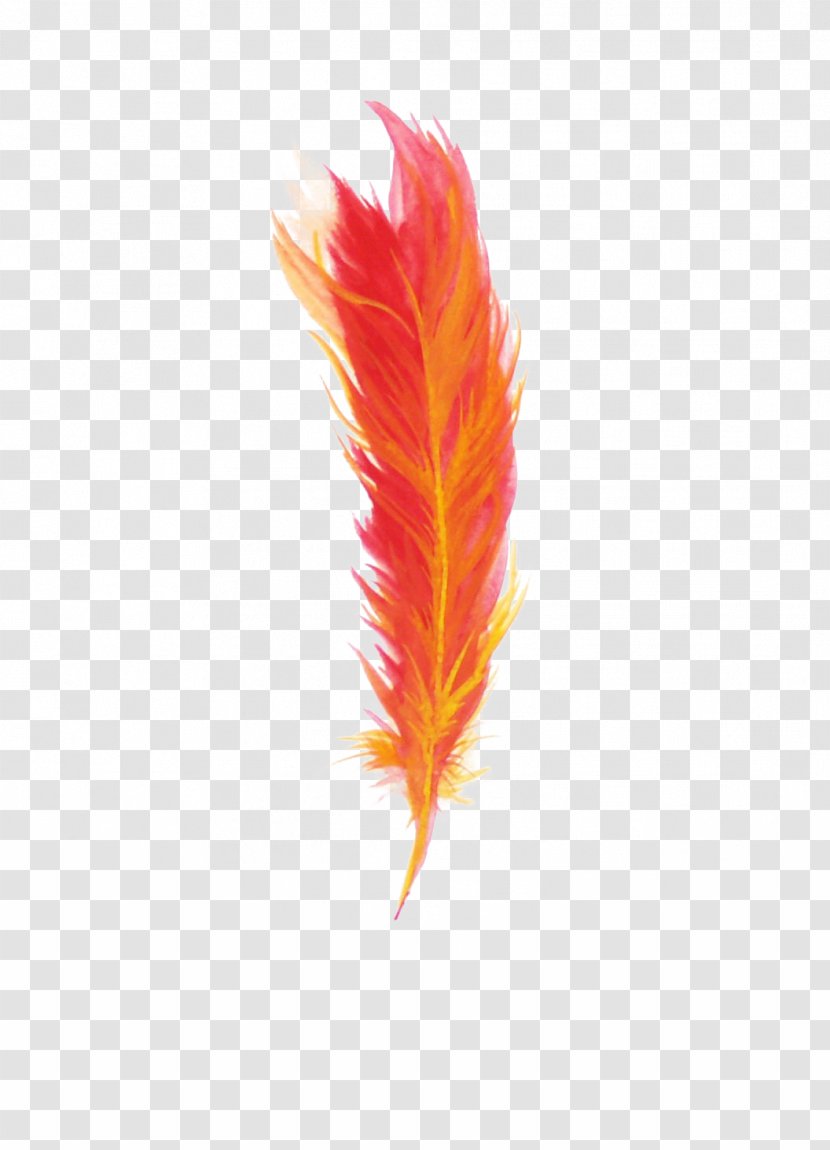 Feather Red - Orange - Feathers Transparent PNG