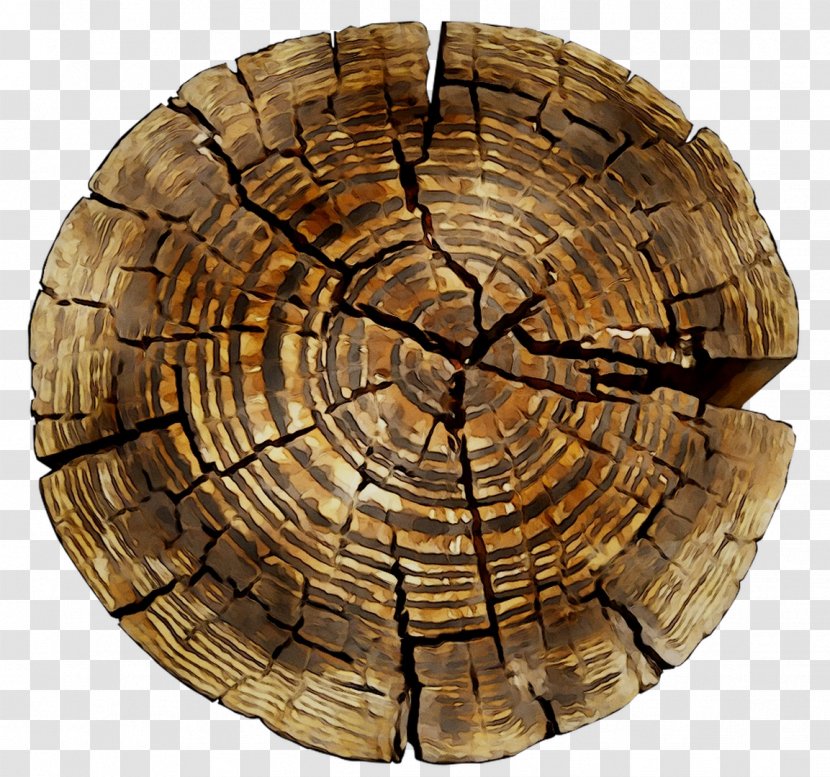 /m/083vt Tree Wood - Stump Transparent PNG