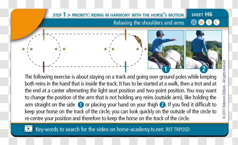 Web Page Line Point Recreation Technology - Area - Horse Training Transparent PNG