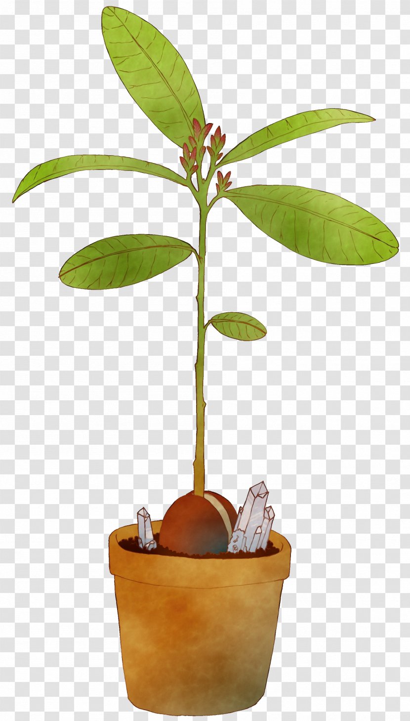 Flower Flowerpot Plant Tree Leaf - Watercolor - Stem Houseplant Transparent PNG