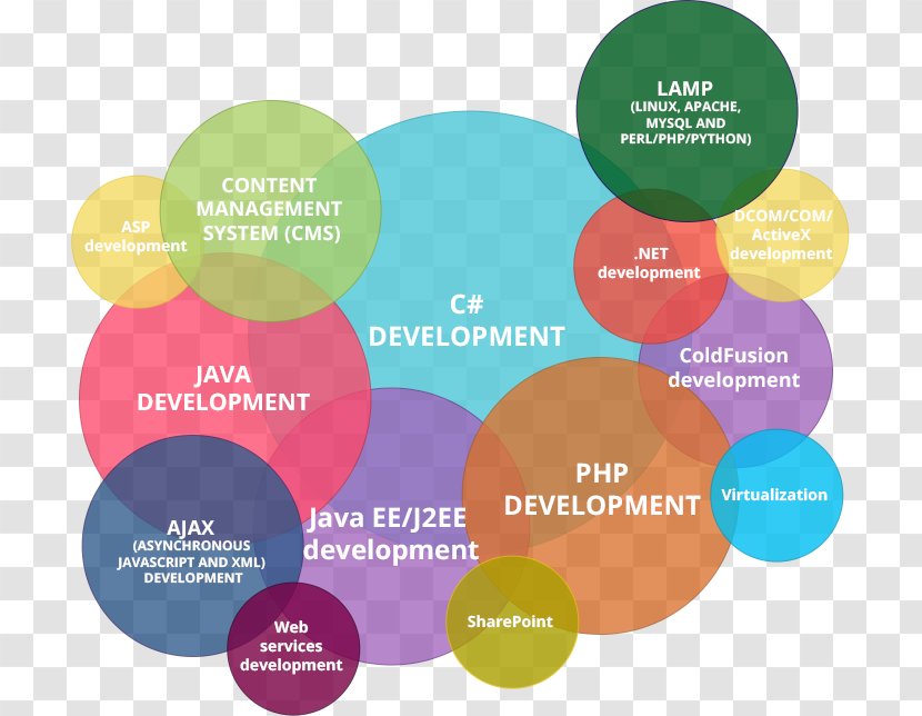 Web Development Software Developer Mobile App - Programmer - Design Transparent PNG