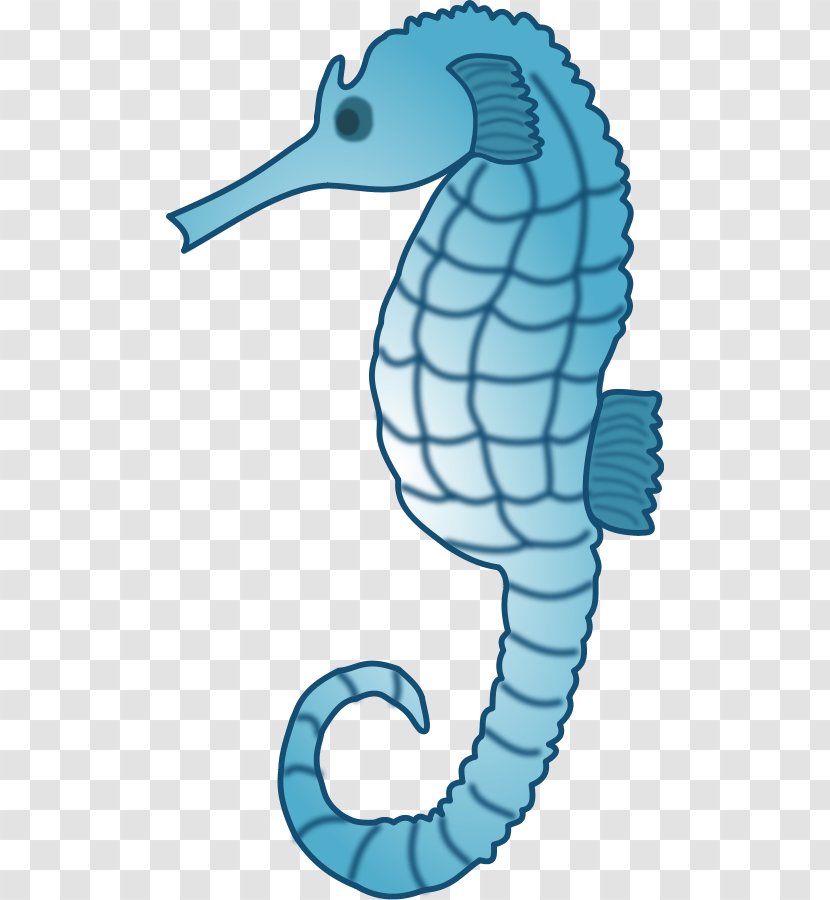 Seahorse Clip Art - Syngnathiformes Transparent PNG