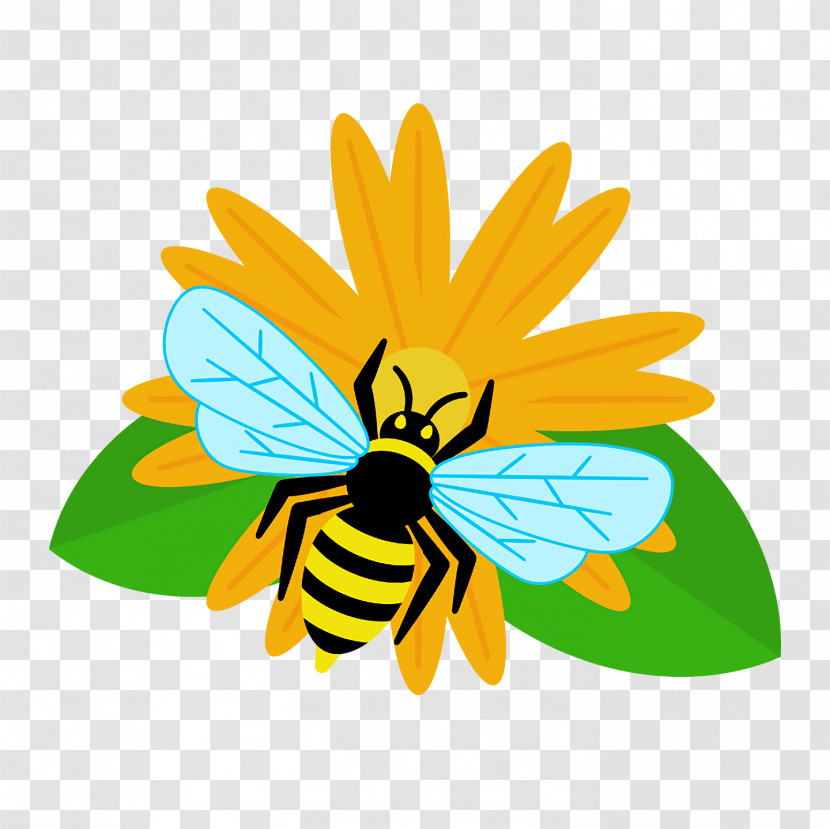 Honey Bee Bees Yellow Honey Transparent PNG