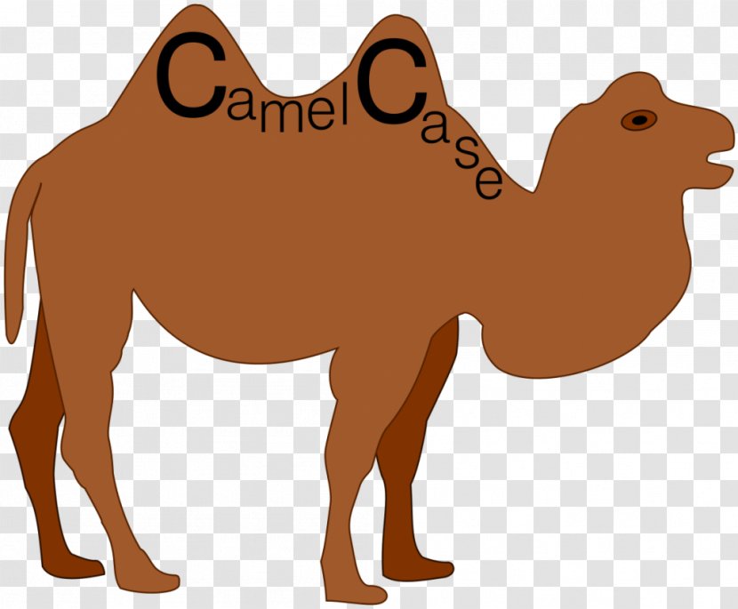 Camel Case Letter Naming Convention Snake Capitalization - Phrase Transparent PNG