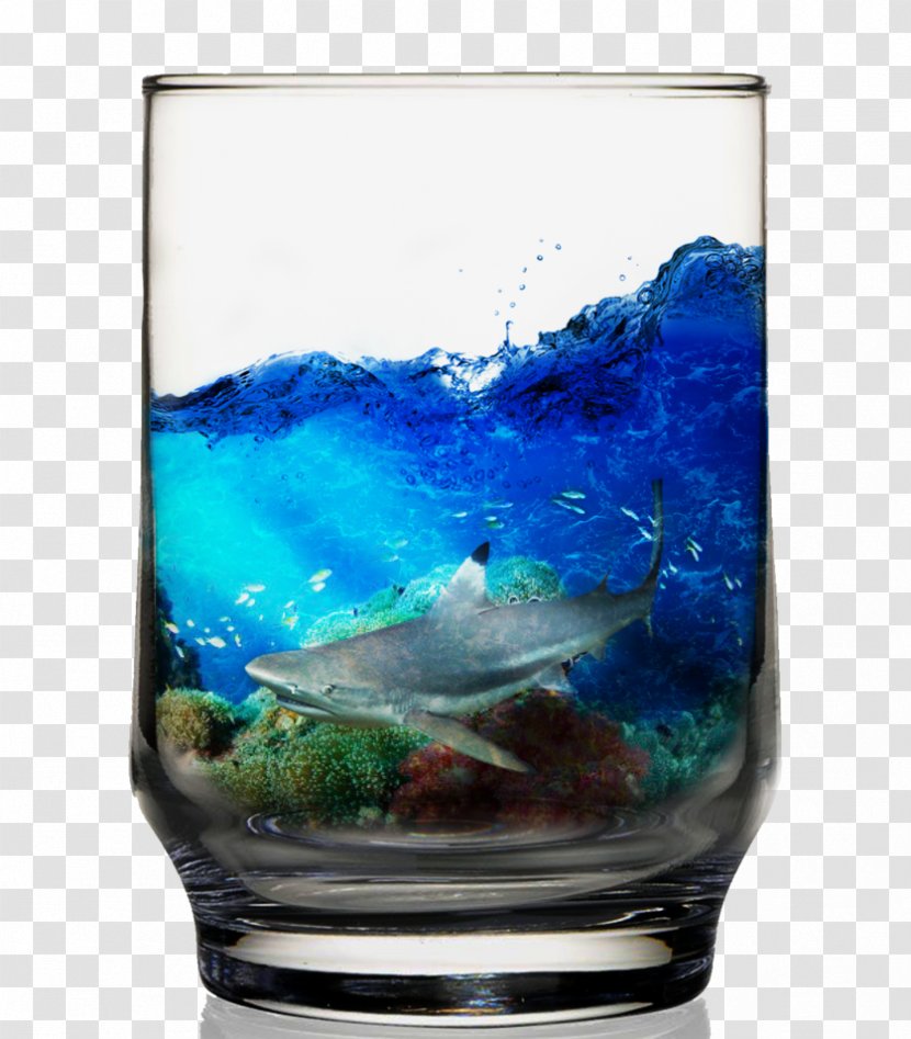 Old Fashioned Glass Drawing DeviantArt - Blue Hawaii Transparent PNG