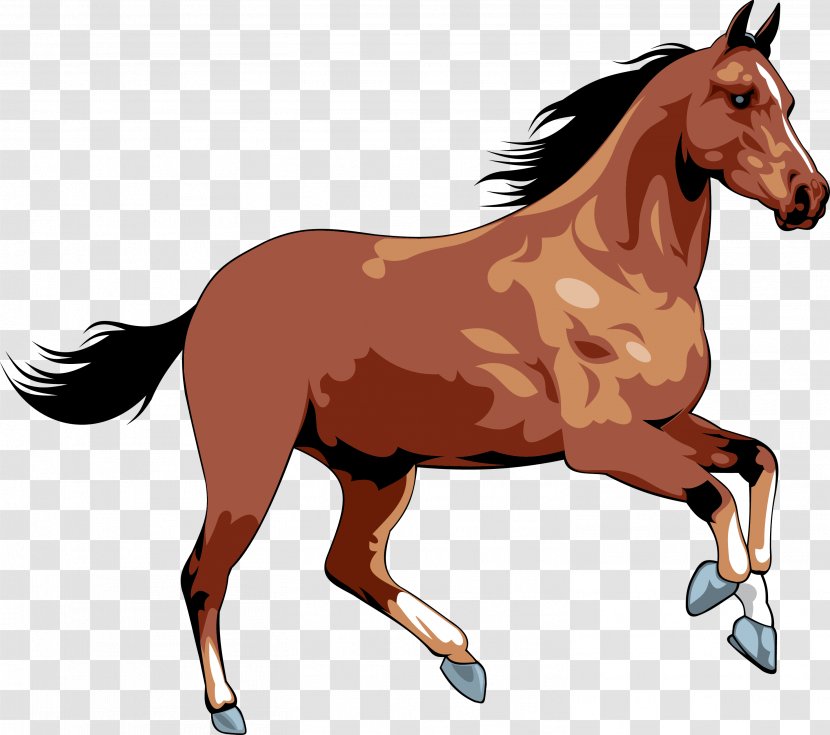 Wild Horse Clip Art - Bridle Transparent PNG