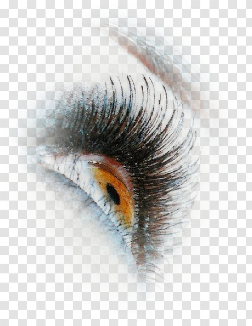 Eyelash Extensions Close-up Artificial Hair Integrations - Flower - Yeux Transparent PNG