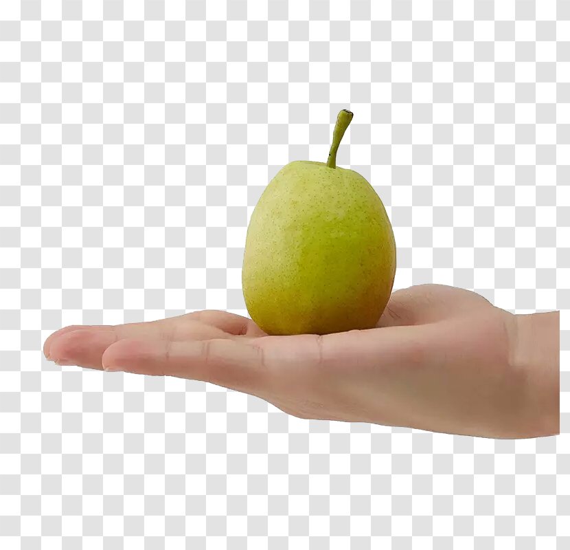 U65b0u7586u5e93u5c14u52d2u9999u68a8u80a1u4efdu516cu53f8 Download Hand Pear - Korla - Satisfy Pears Transparent PNG