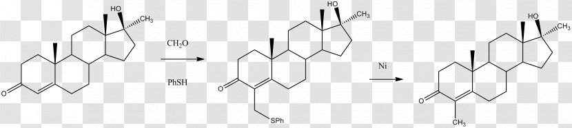 Vitamin D Testosterone Cholecalciferol Ergocalciferol - Flower - Synthesis Transparent PNG