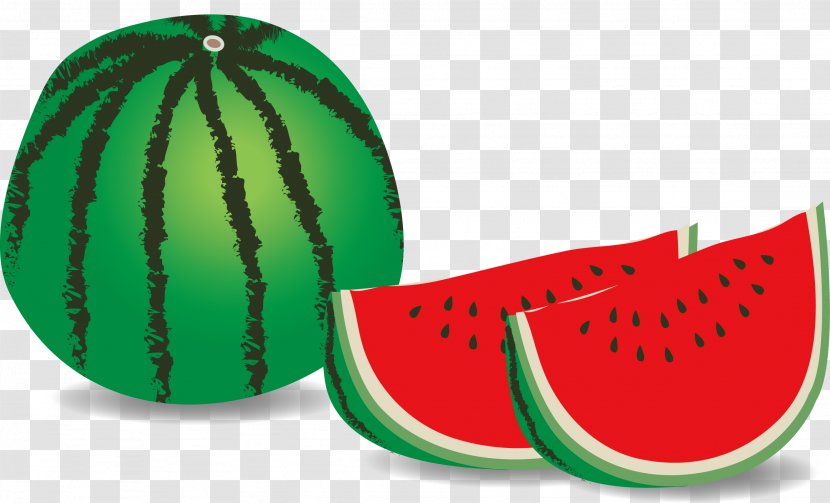 Watermelon Illustration Clip Art Food Suica - Cucumber Gourd And Melon Family Transparent PNG