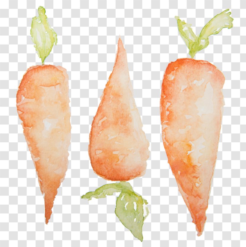 Clip Art Carrot Watercolor Painting Image Transparent PNG