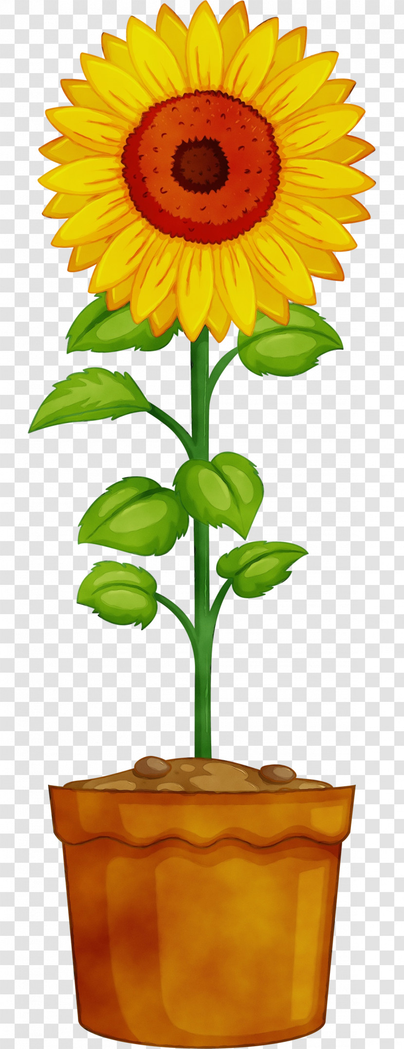 Vector Drawing Flowerpot Plant Stem Logo Transparent PNG