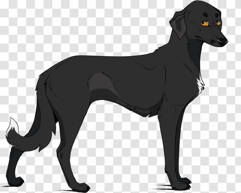 Dog Breed Drawing DeviantArt Ravenpaw - Like Mammal - Raven Forest Spirit Transparent PNG