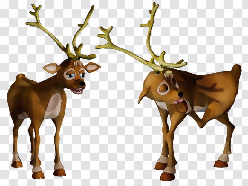 Reindeer - Moose Fawn Transparent PNG