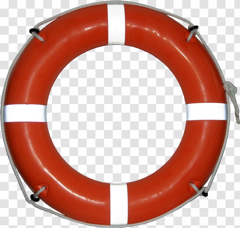 Computer Network Internet Download - Technical Support - Lifebuoy Transparent PNG