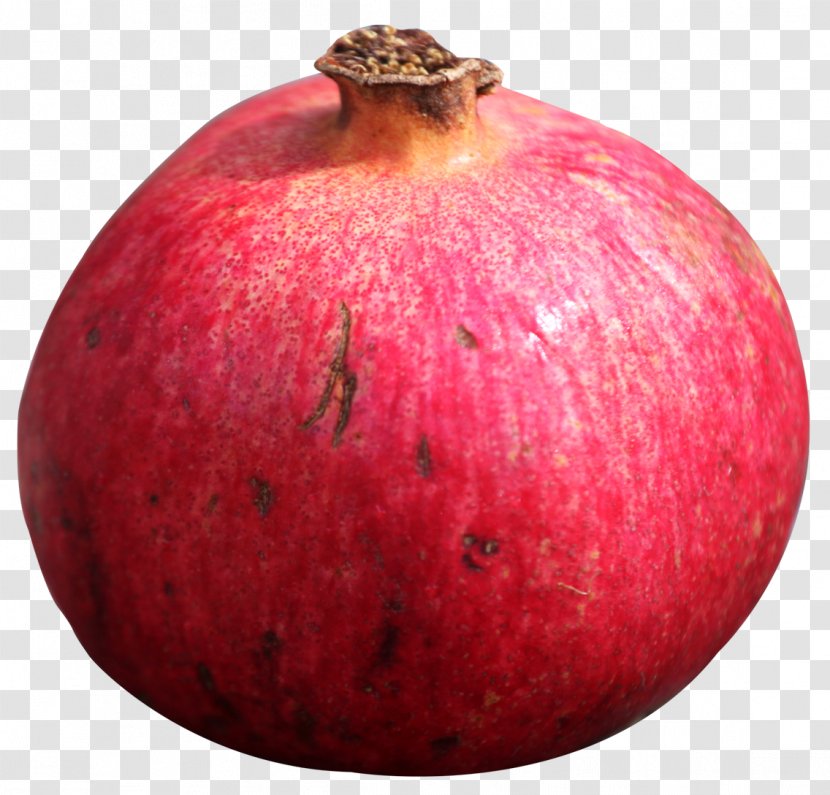 Pomegranate Fruit - Ingredient Transparent PNG