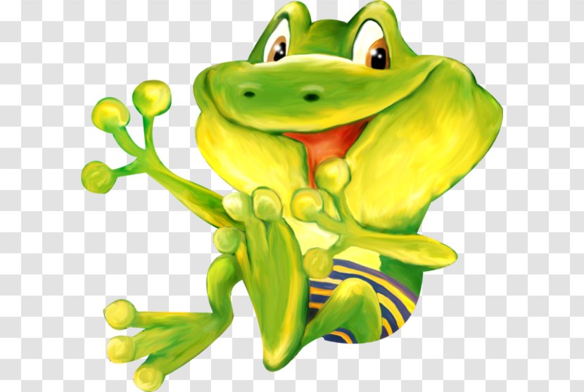 Frog Drawing - Art - Green Frogs Transparent PNG
