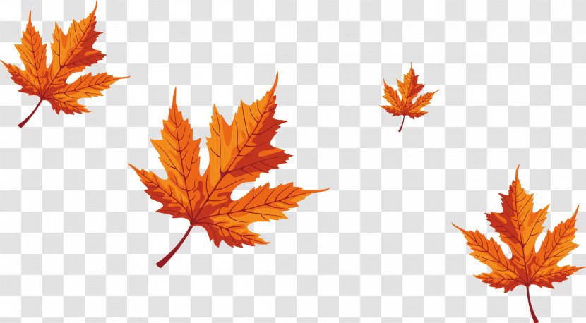 Maple Leaf Red - Tree - Falling Leaves Transparent PNG