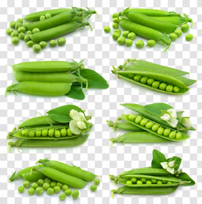 Snow Pea Euclidean Vector Photography - Superfood - A Group Of Green Peas Transparent PNG