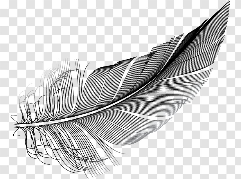 Feather Illustration Owl Image Royalty-free - Royalty Payment - Fashion Accessory Transparent PNG