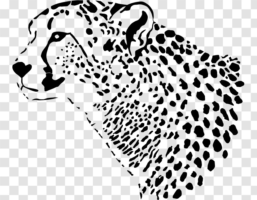 Leopard Cheetah Tiger Felidae - Terrestrial Animal - Steppe Transparent PNG